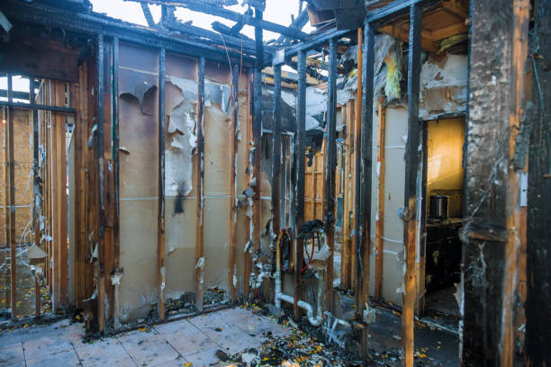Professional Fire Damage Removal technician working in Henderson, TX