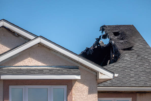 Top rated local Fire Damage Removal specialists in Henderson, TX